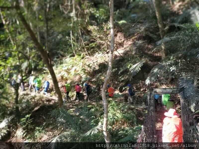 登山 親子登山 谷關七雄 東卯山 德芙蘭步道