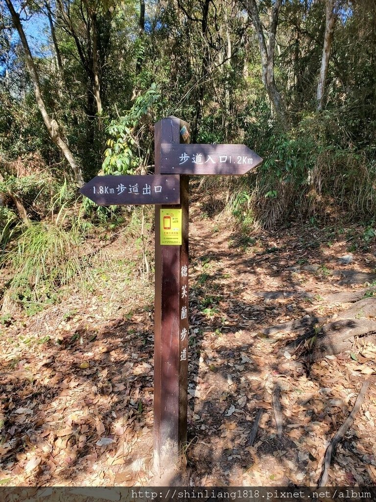 登山 親子登山 谷關七雄 東卯山 德芙蘭步道