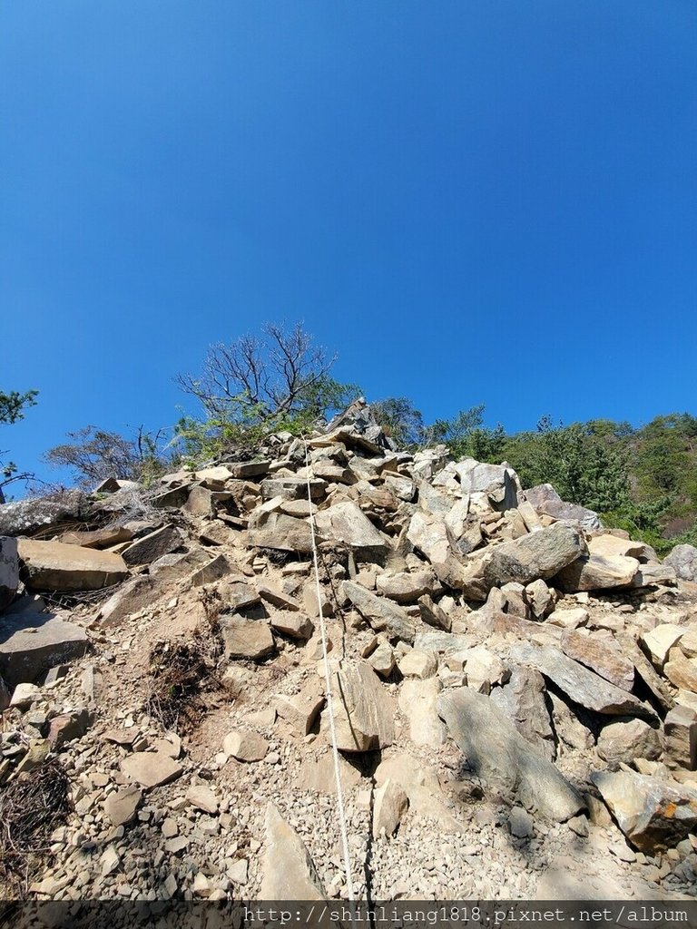 登山 親子登山 谷關七雄 東卯山 德芙蘭步道