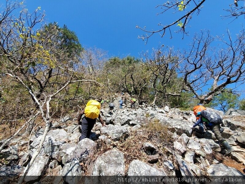 登山 親子登山 谷關七雄 東卯山 德芙蘭步道