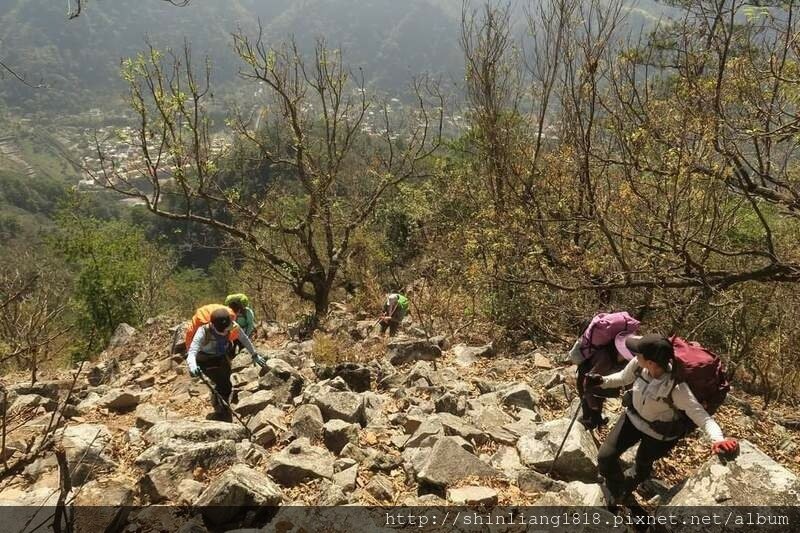 登山 親子登山 谷關七雄 東卯山 德芙蘭步道