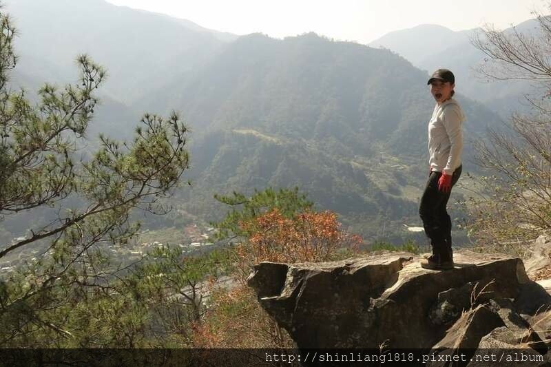 登山 親子登山 谷關七雄 東卯山 德芙蘭步道