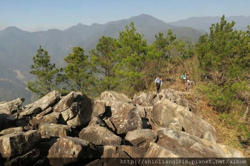 登山 親子登山 谷關七雄 東卯山 德芙蘭步道