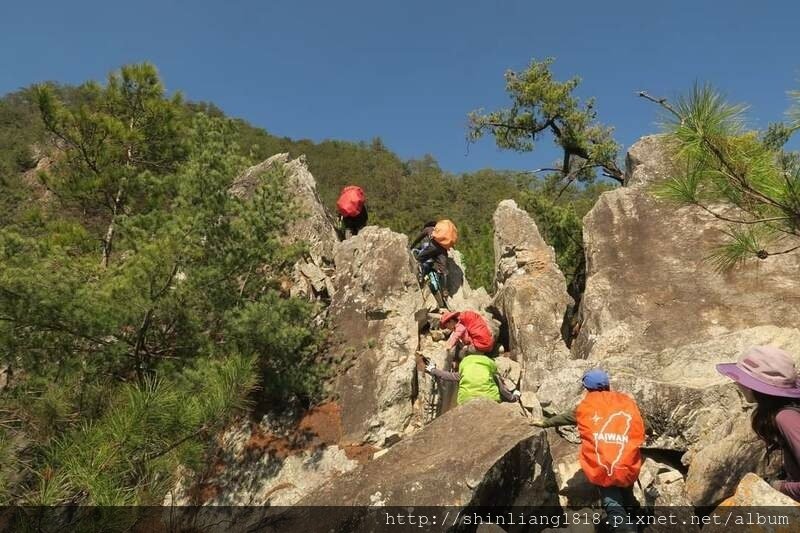 登山 親子登山 谷關七雄 東卯山 德芙蘭步道