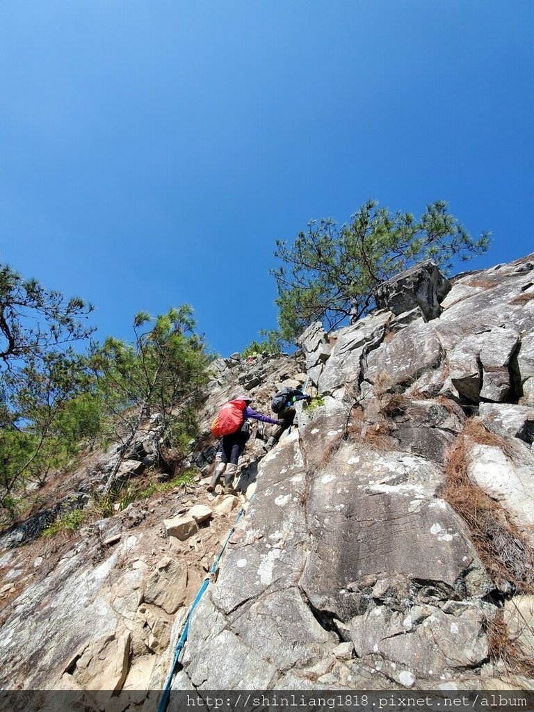 登山 親子登山 谷關七雄 東卯山 德芙蘭步道