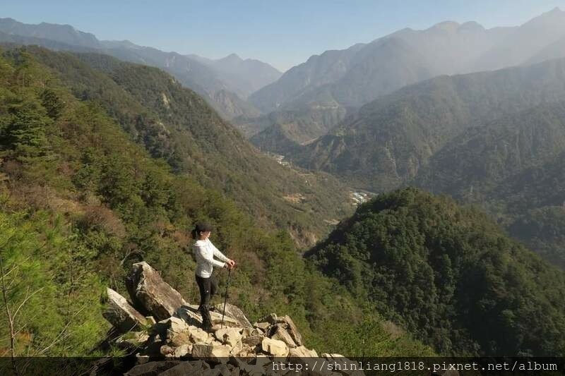 登山 親子登山 谷關七雄 東卯山 德芙蘭步道