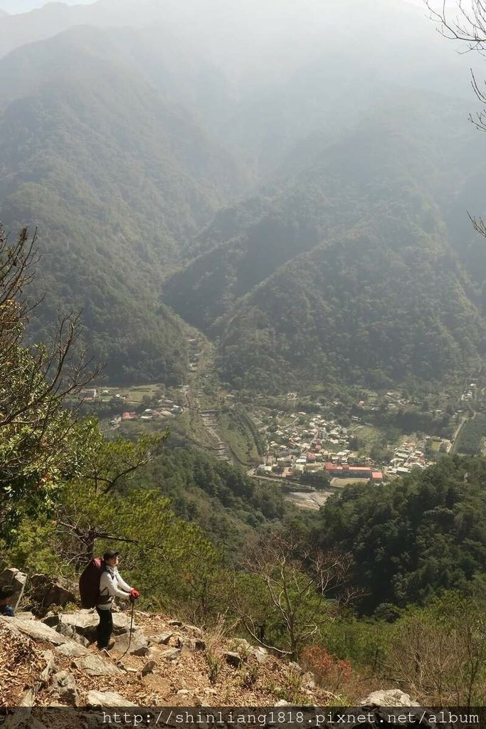 登山 親子登山 谷關七雄 東卯山 德芙蘭步道