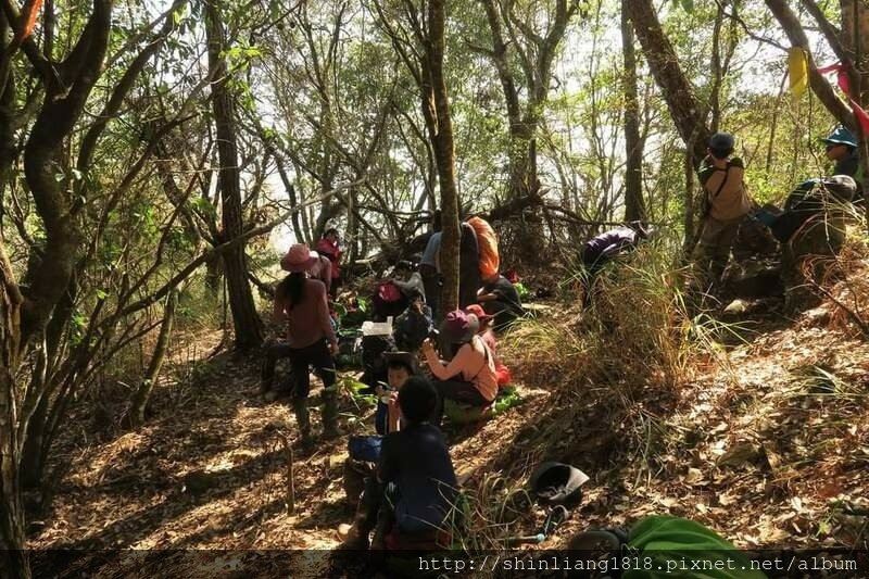 登山 親子登山 谷關七雄 東卯山 德芙蘭步道