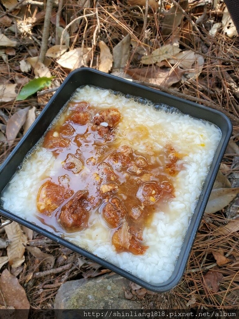 登山 親子登山 谷關七雄 東卯山 德芙蘭步道