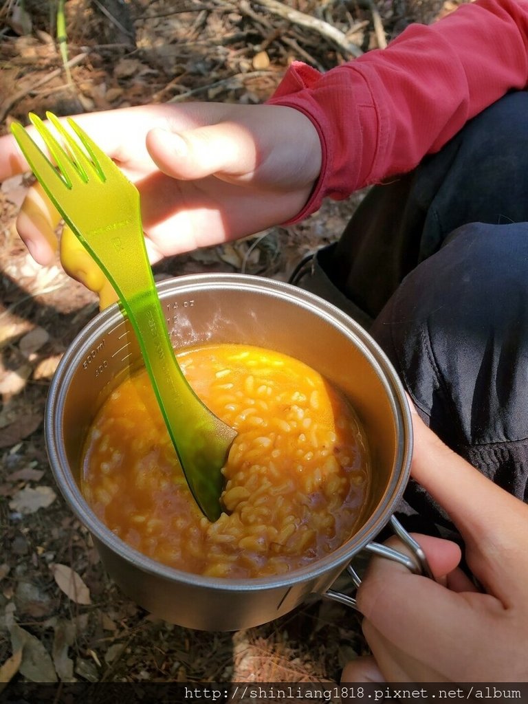 登山 親子登山 谷關七雄 東卯山 德芙蘭步道