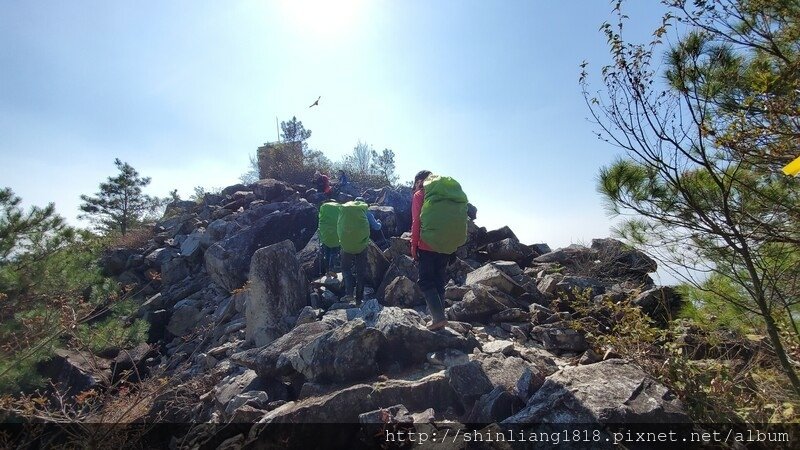 登山 親子登山 谷關七雄 東卯山 德芙蘭步道