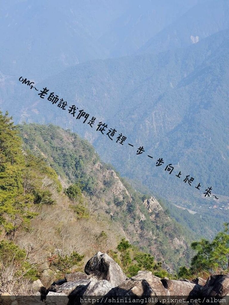 登山 親子登山 谷關七雄 東卯山 德芙蘭步道