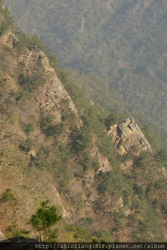 登山 親子登山 谷關七雄 東卯山 德芙蘭步道