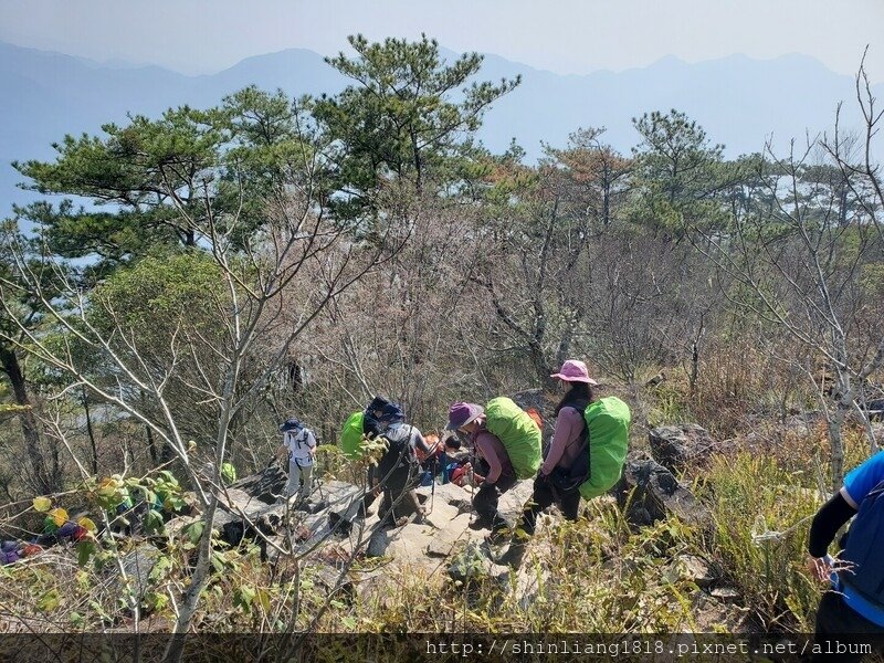 登山 親子登山 谷關七雄 東卯山 德芙蘭步道