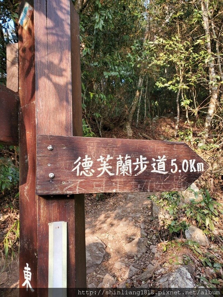 登山 親子登山 谷關七雄 東卯山 德芙蘭步道