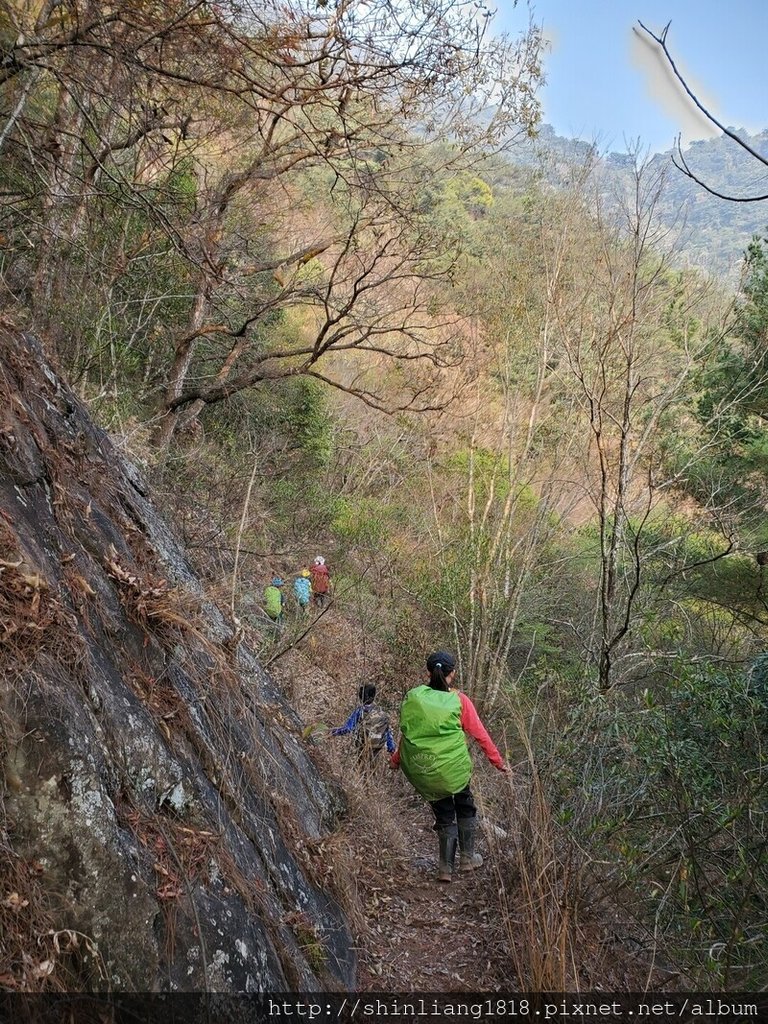 登山 親子登山 谷關七雄 東卯山 德芙蘭步道