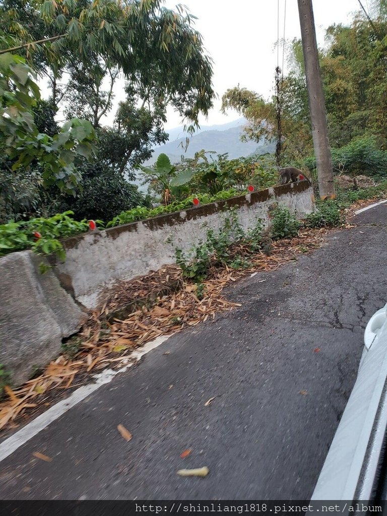 登山 親子登山 石山 溪南鬼湖 秀湖