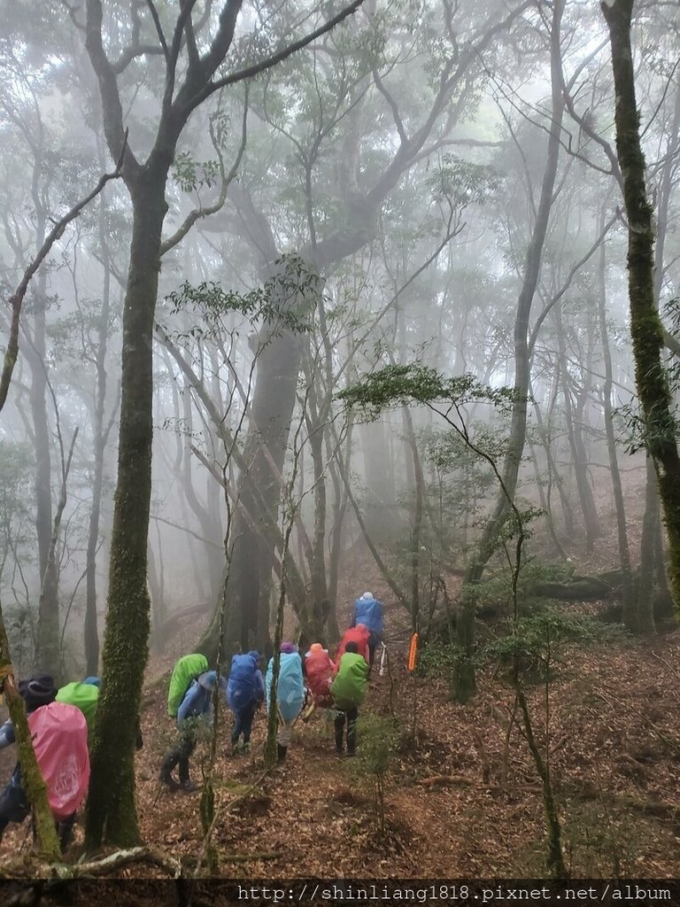 登山 親子登山 石山 溪南鬼湖 秀湖