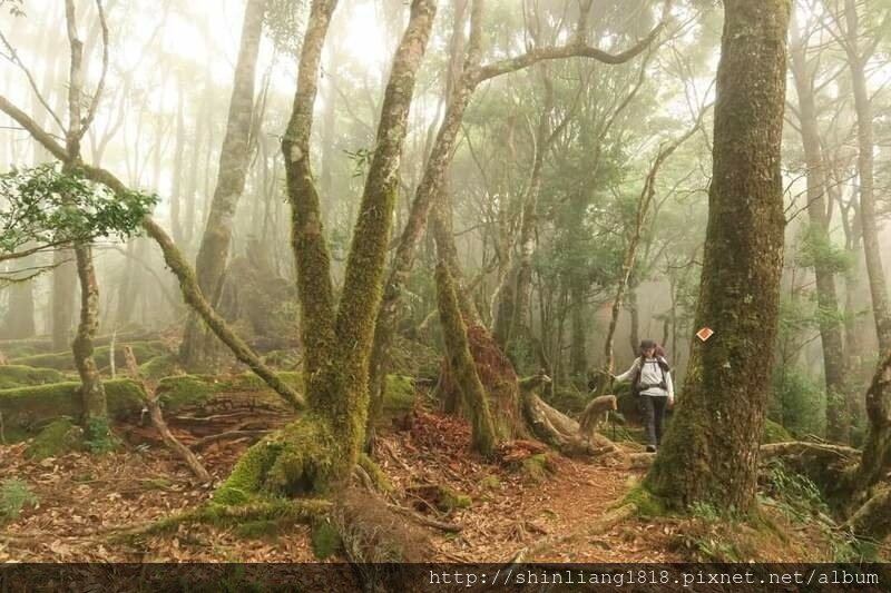 登山 親子登山 石山 溪南鬼湖 秀湖