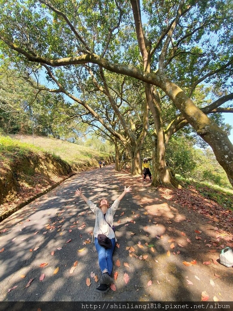 2020回顧 登山 親子登山 露營 親子露營