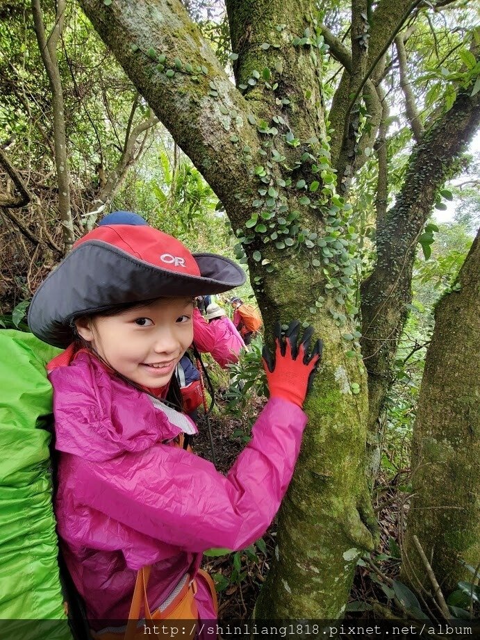2020回顧 登山 親子登山 露營 親子露營