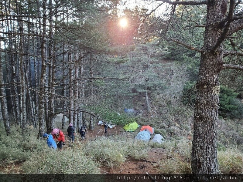 登山 親子登山 平多緃走 野營 戶外活動