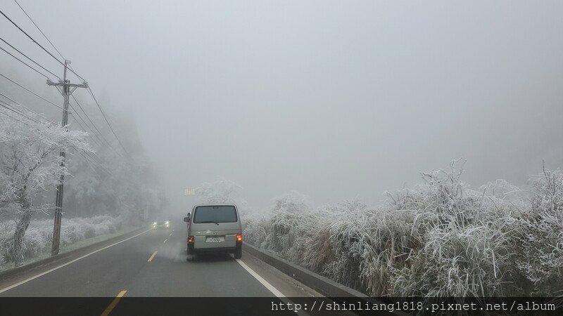 親子登山 登山 平多緃走 霧淞 元旦假期