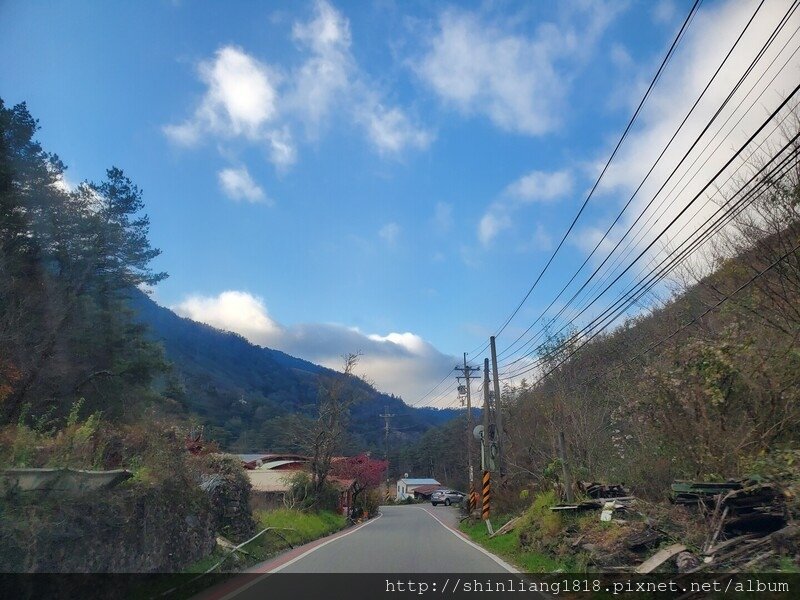 親子登山 登山 平多緃走 霧淞 元旦假期