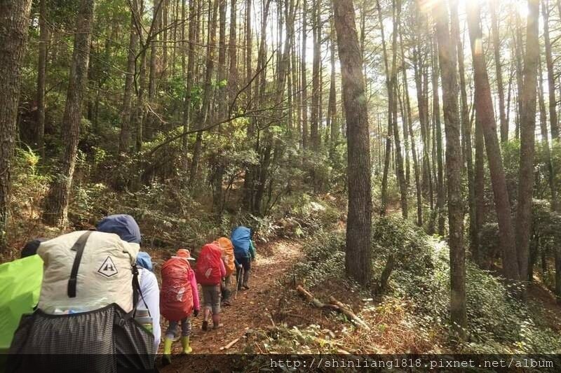 親子登山 登山 平多緃走 霧淞 元旦假期