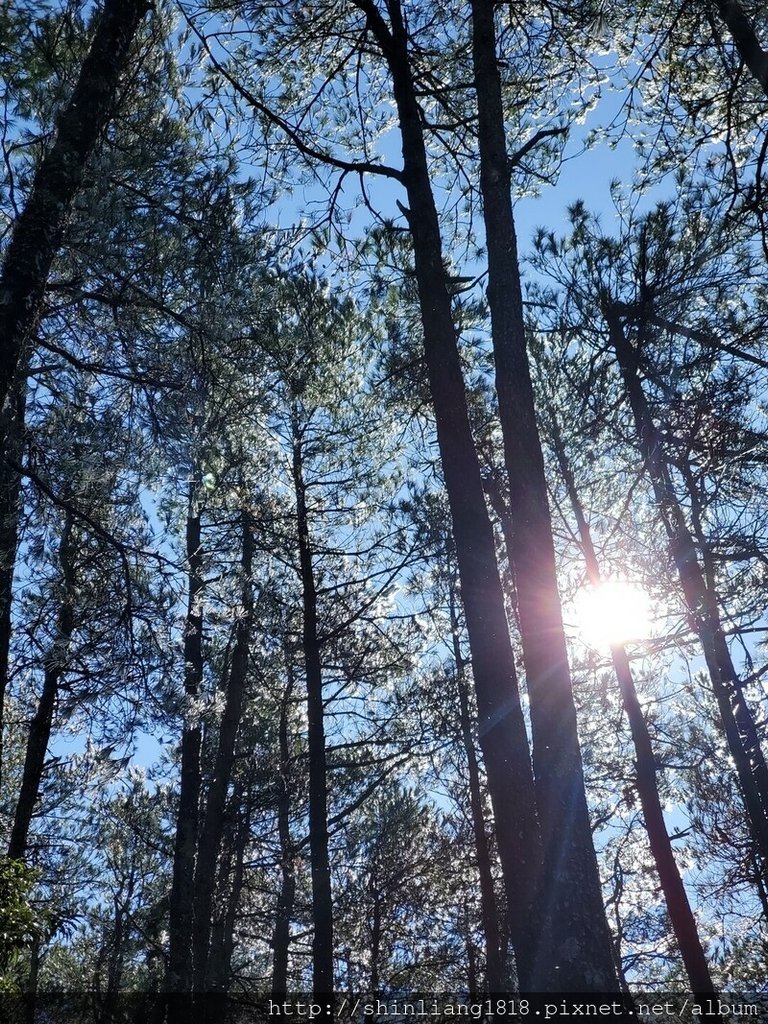 親子登山 登山 平多緃走 霧淞 元旦假期