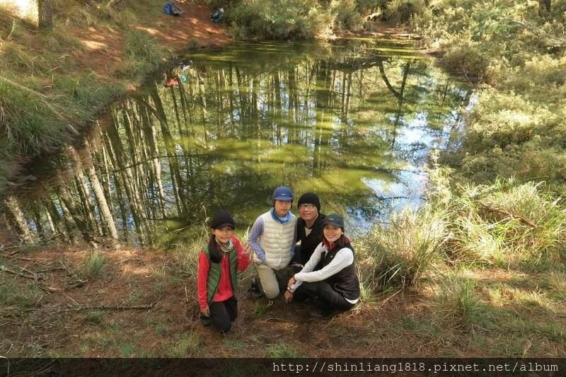 親子登山 登山 平多緃走 霧淞 元旦假期