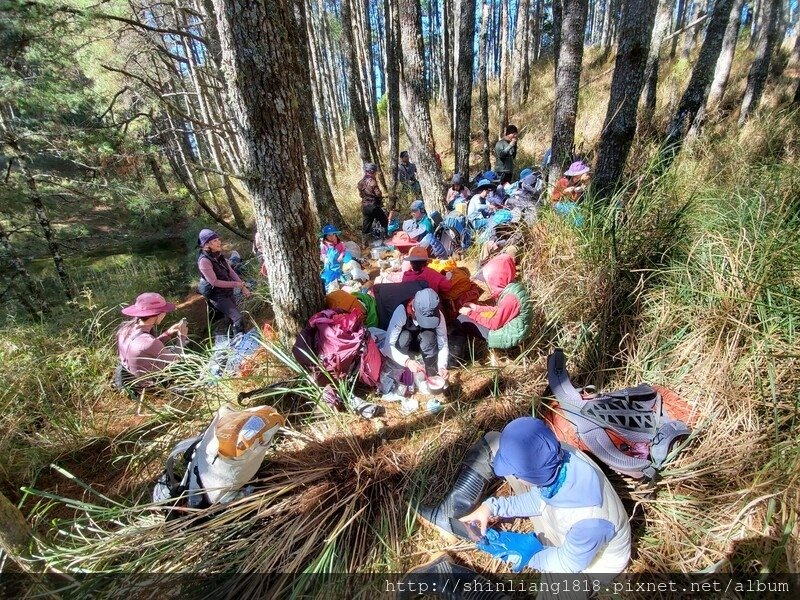 親子登山 登山 平多緃走 霧淞 元旦假期