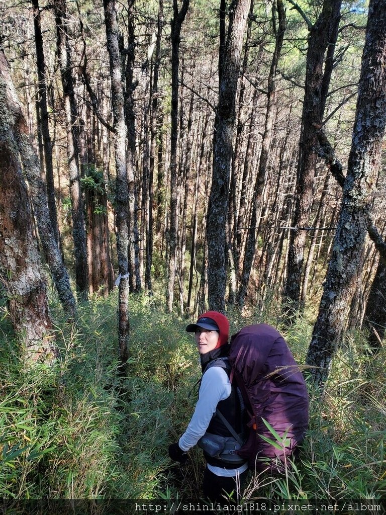 親子登山 登山 平多緃走 霧淞 元旦假期