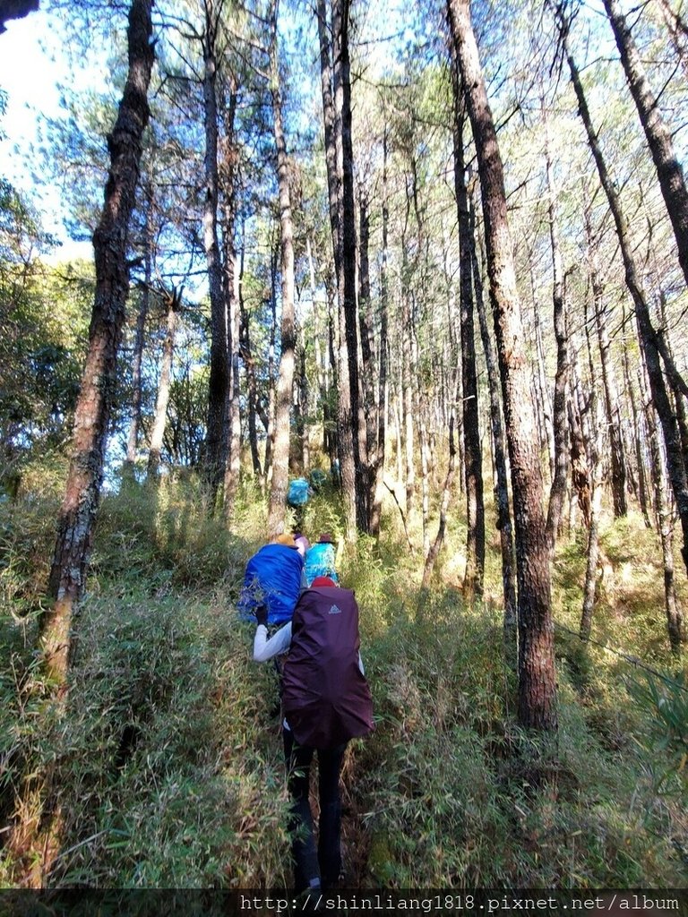 親子登山 登山 平多緃走 霧淞 元旦假期