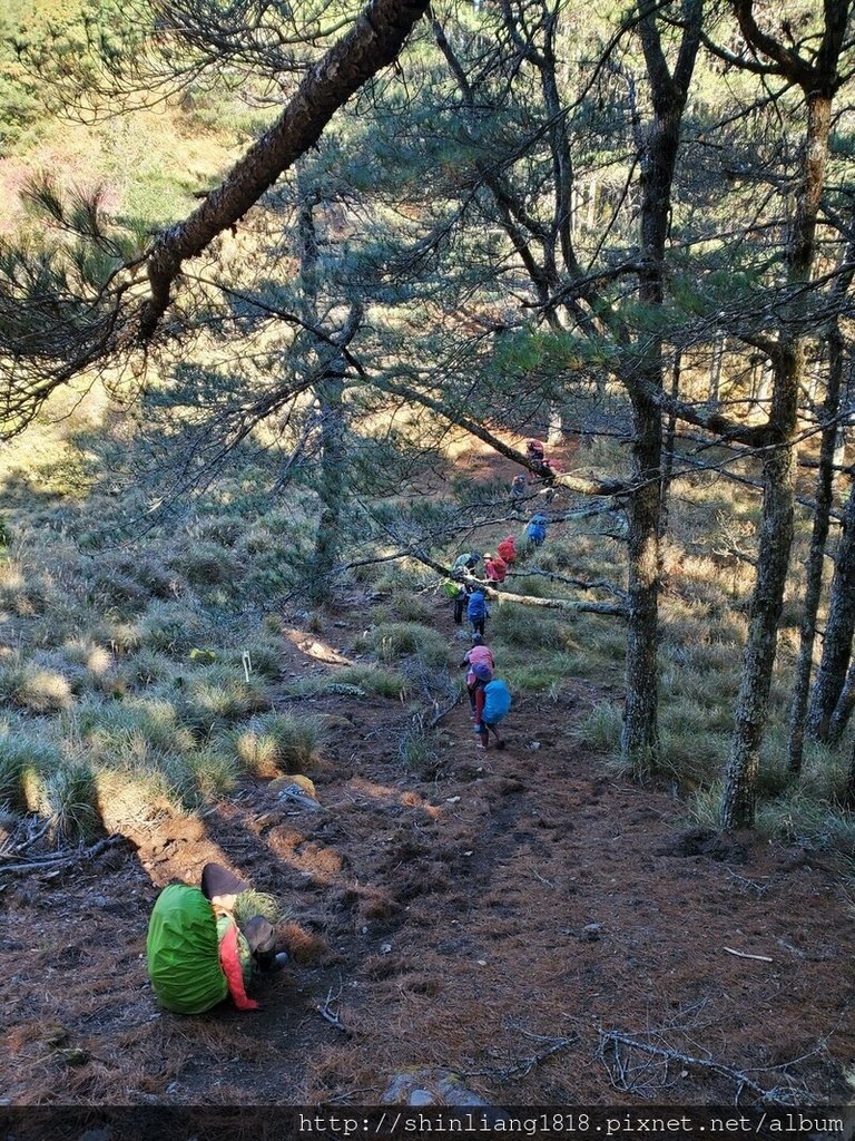 親子登山 登山 平多緃走 霧淞 元旦假期