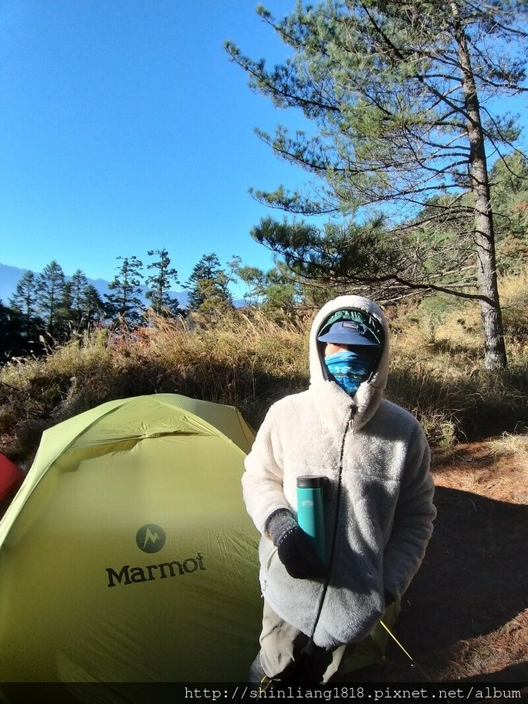 親子登山 登山 平多緃走 霧淞 元旦假期