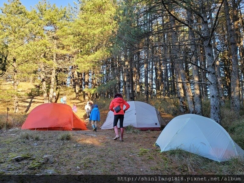 親子登山 登山 平多緃走 霧淞 元旦假期