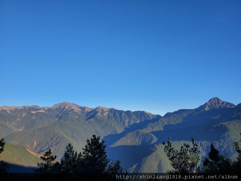 親子登山 登山 平多緃走 霧淞 元旦假期