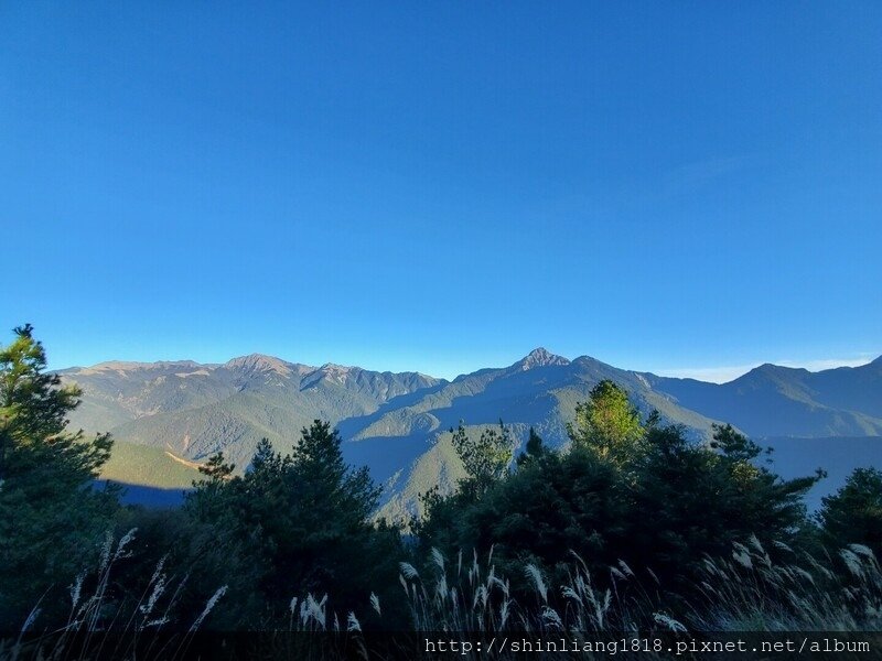 親子登山 登山 平多緃走 霧淞 元旦假期