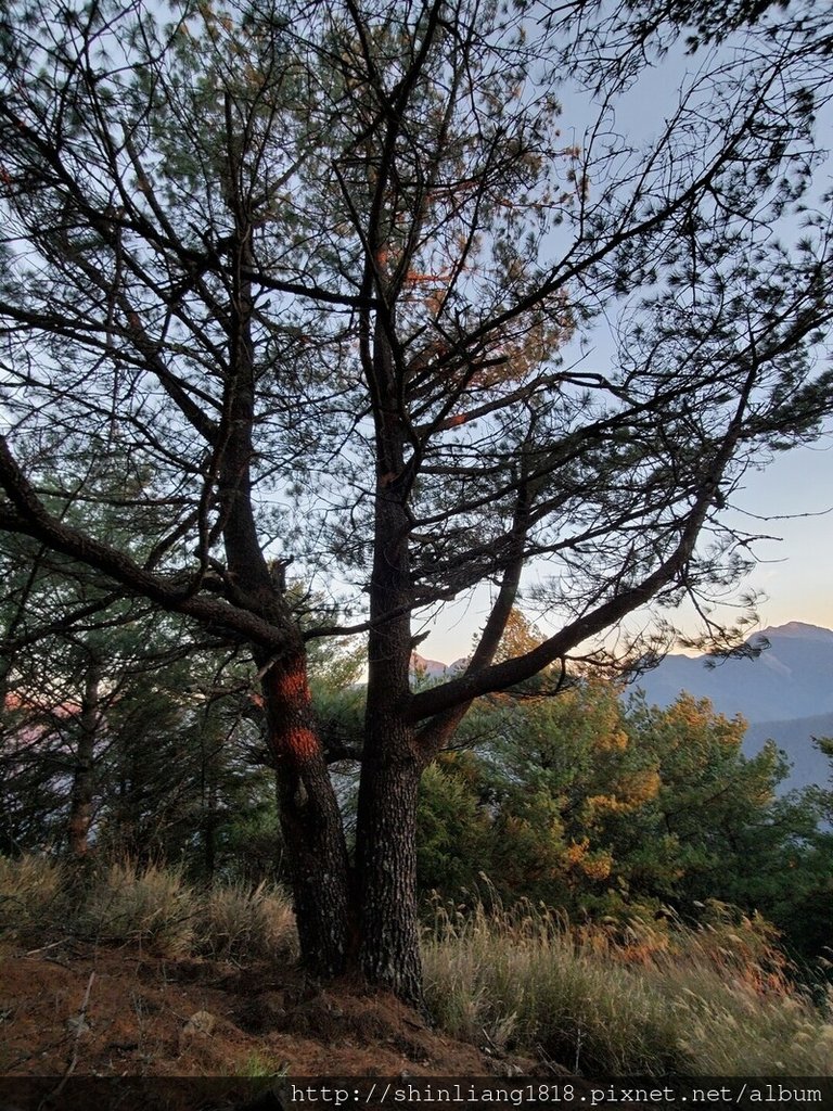 親子登山 登山 平多緃走 霧淞 元旦假期