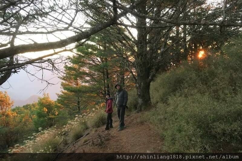 親子登山 登山 平多緃走 霧淞 元旦假期