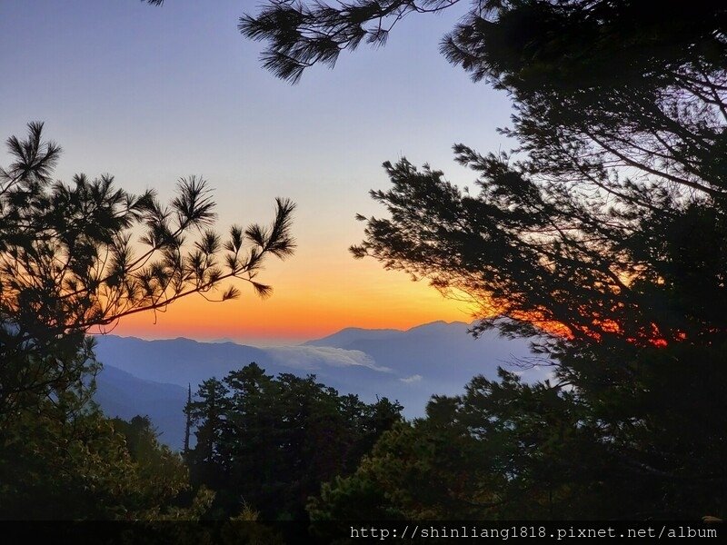 親子登山 登山 平多緃走 霧淞 元旦假期