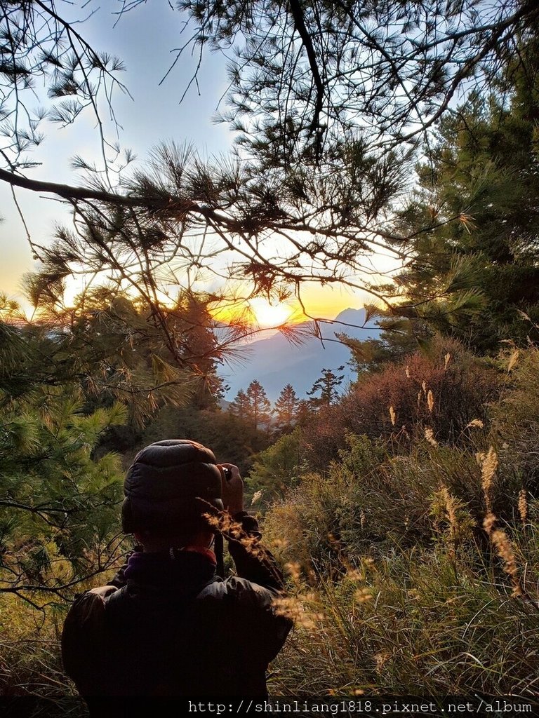 親子登山 登山 平多緃走 霧淞 元旦假期