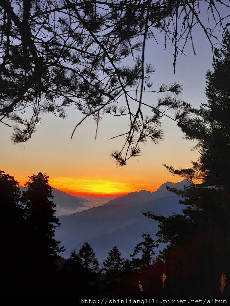 親子登山 登山 平多緃走 霧淞 元旦假期