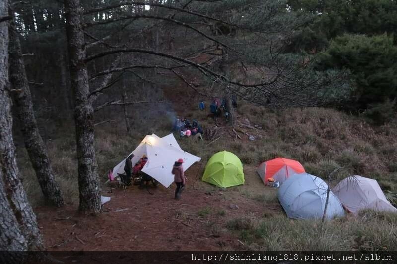 親子登山 登山 平多緃走 霧淞 元旦假期