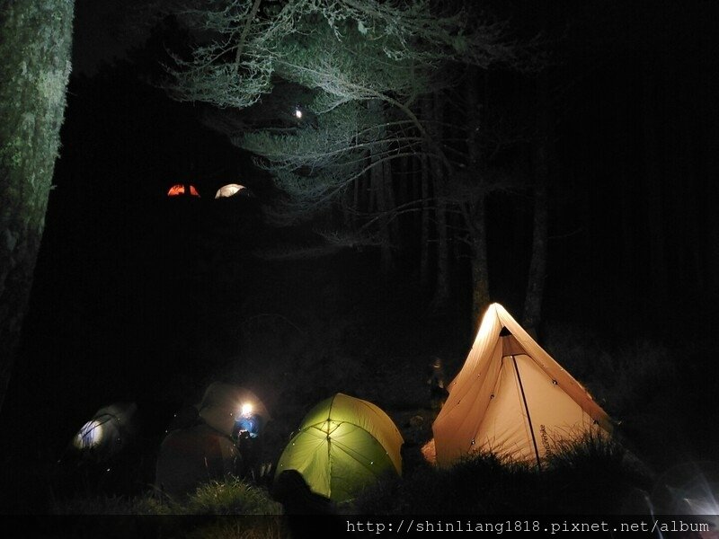 親子登山 登山 平多緃走 霧淞 元旦假期