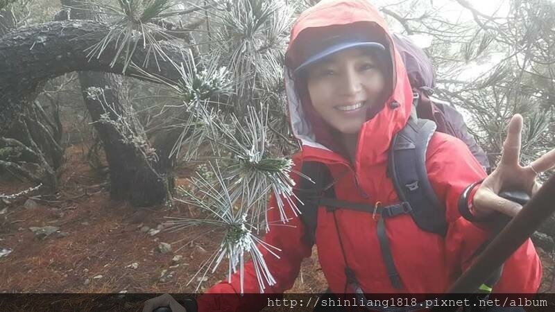 南湖大山 能高安東軍 登山 親子登山 百岳