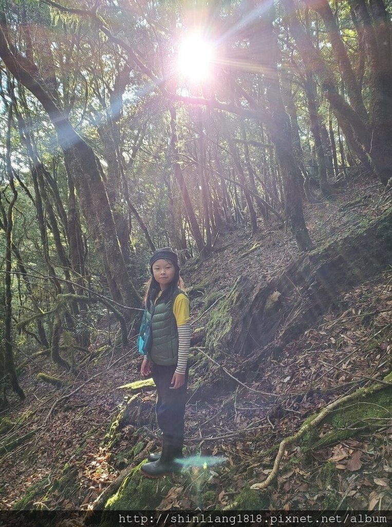 南湖大山 能高安東軍 登山 親子登山 百岳