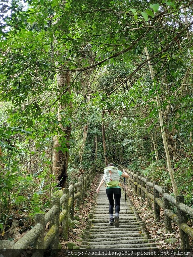 台中大坑步道 登山 大坑2號步道 登山炊煮