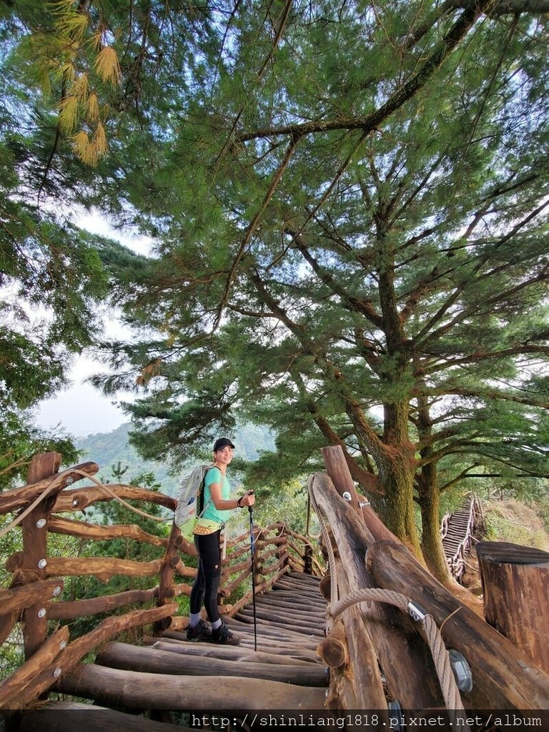 台中大坑步道 登山 大坑2號步道 登山炊煮